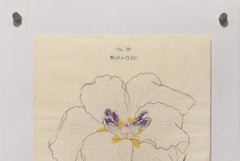 Iris Kaempferi: No.79 MANA-ZURU