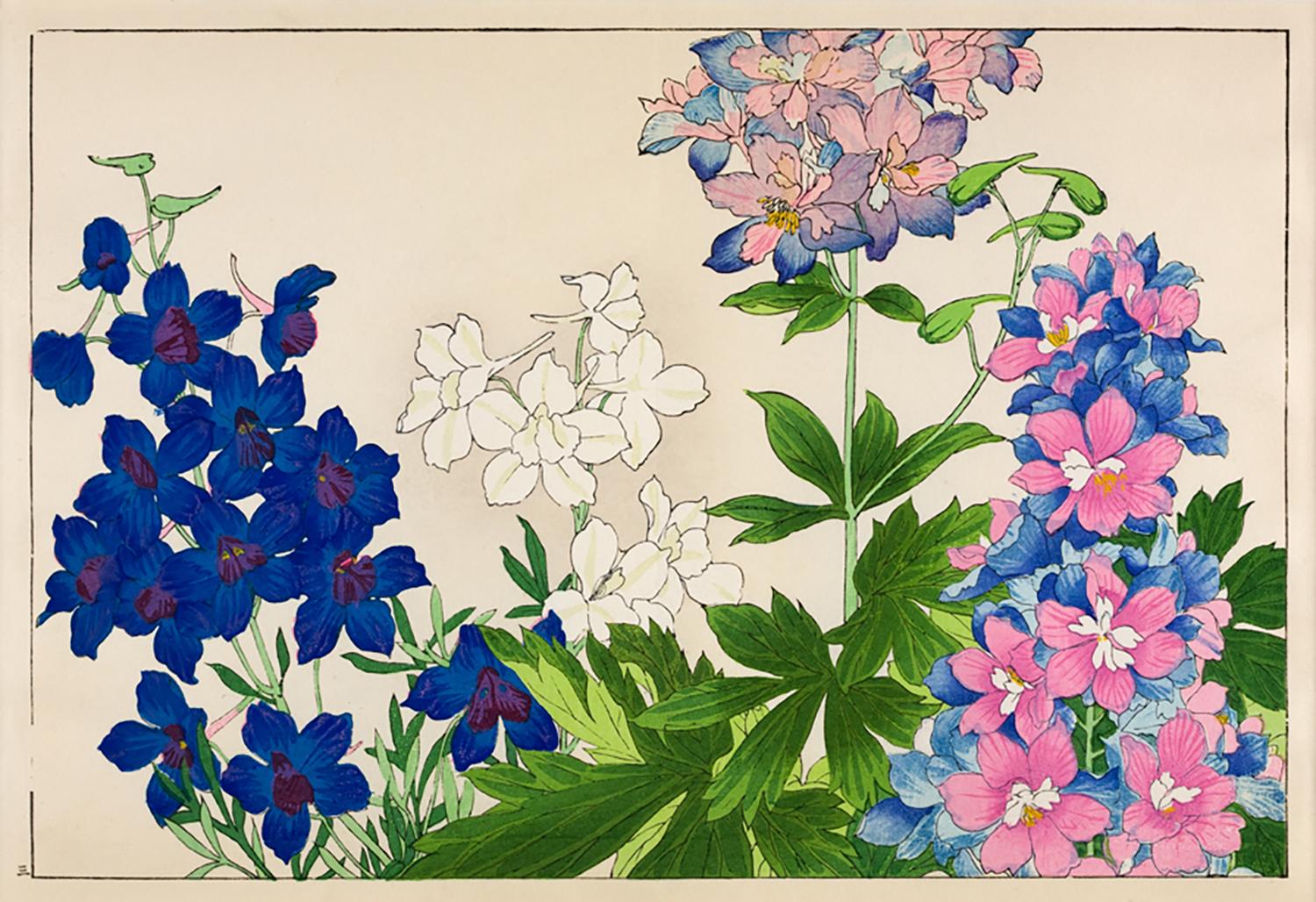 Unknown Landscape Print - Japanese Floral Woodblock Print - 4