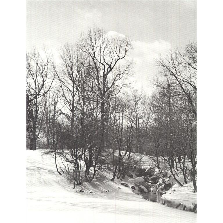 Joel Greenberg 'Central Park' 1978- Offset Lithograph For Sale 1