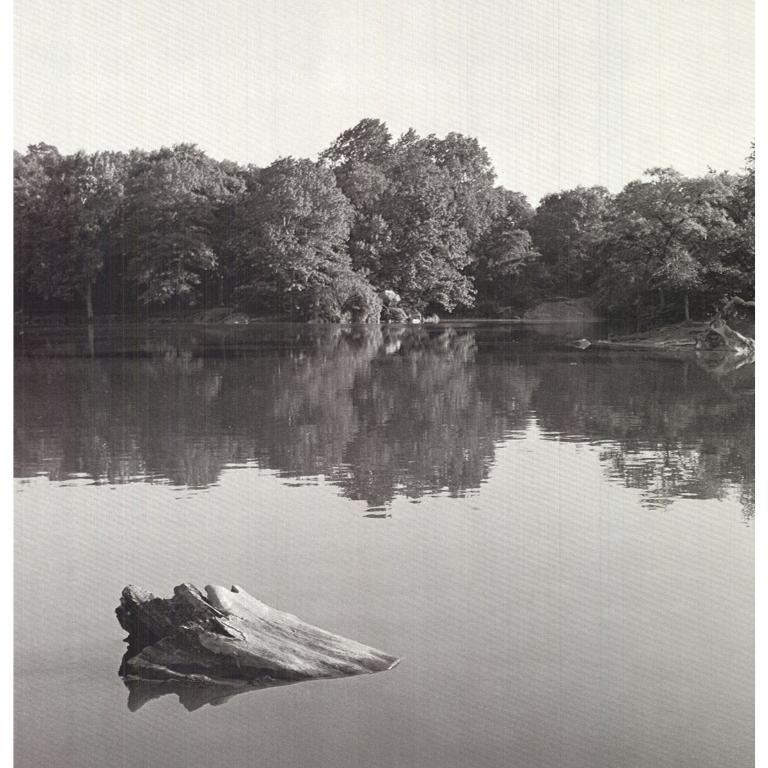 Joel Greenberg 'Central Park' 1978- Offset Lithograph For Sale 1