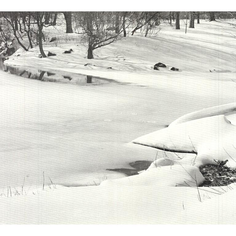 Joel Greenberg 'Central Park' 1978- Offset Lithograph For Sale 2