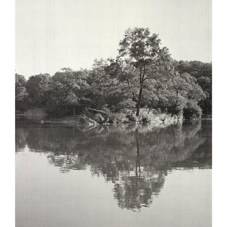 Joel Greenberg 'Central Park' 1978- Offset Lithograph For Sale 2