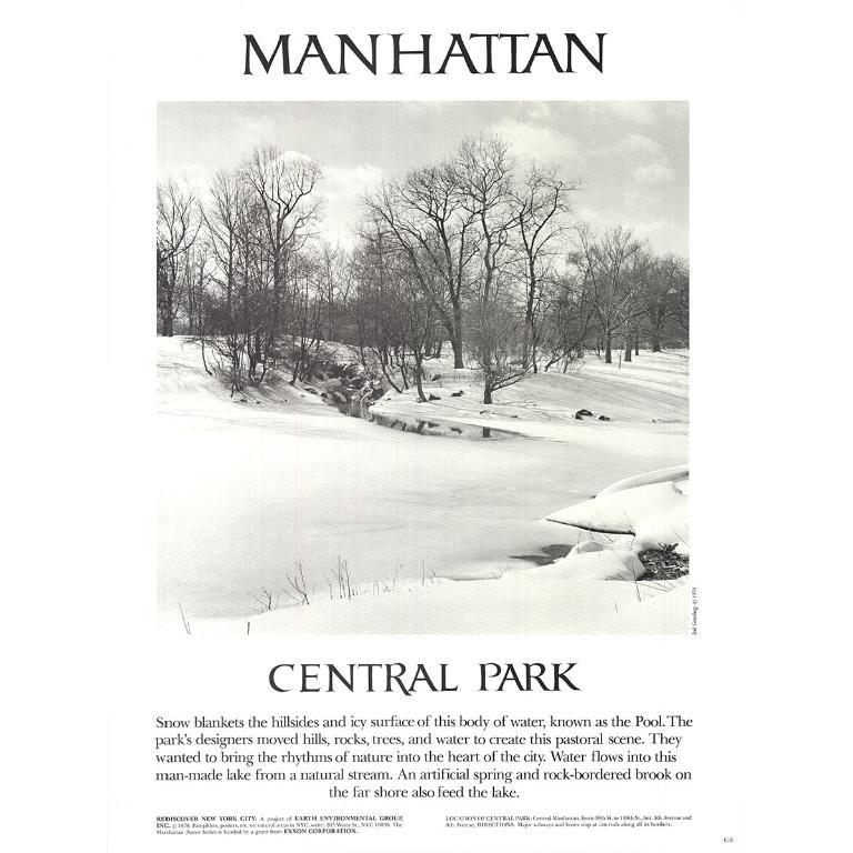 Joel Greenberg 'Central Park' 1978- Offset Lithograph - Print by Unknown