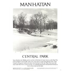 Joel Greenberg 'Central Park' 1978- Offset Lithograph