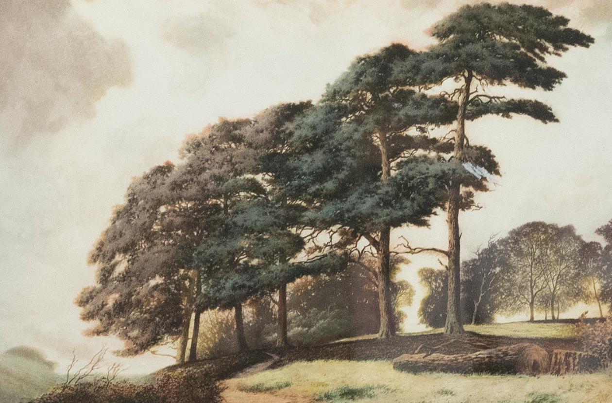 Joseph Kirkpatrick (1872-1936) - Gerahmte Aquatinta, Ein Sussexer Hilltop – Print von Unknown