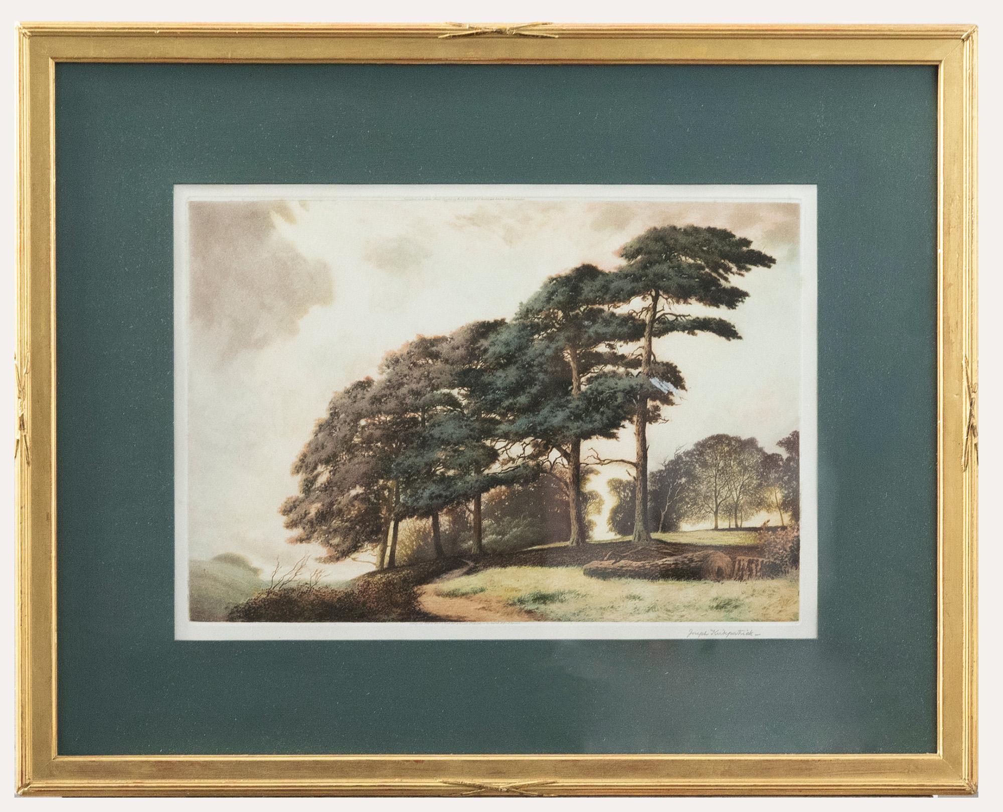 Unknown Landscape Print - Joseph Kirkpatrick (1872-1936) - Framed Aquatint, A Sussex Hilltop