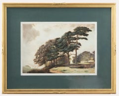 Joseph Kirkpatrick (1872-1936) - Framed Aquatint, A Sussex Hilltop