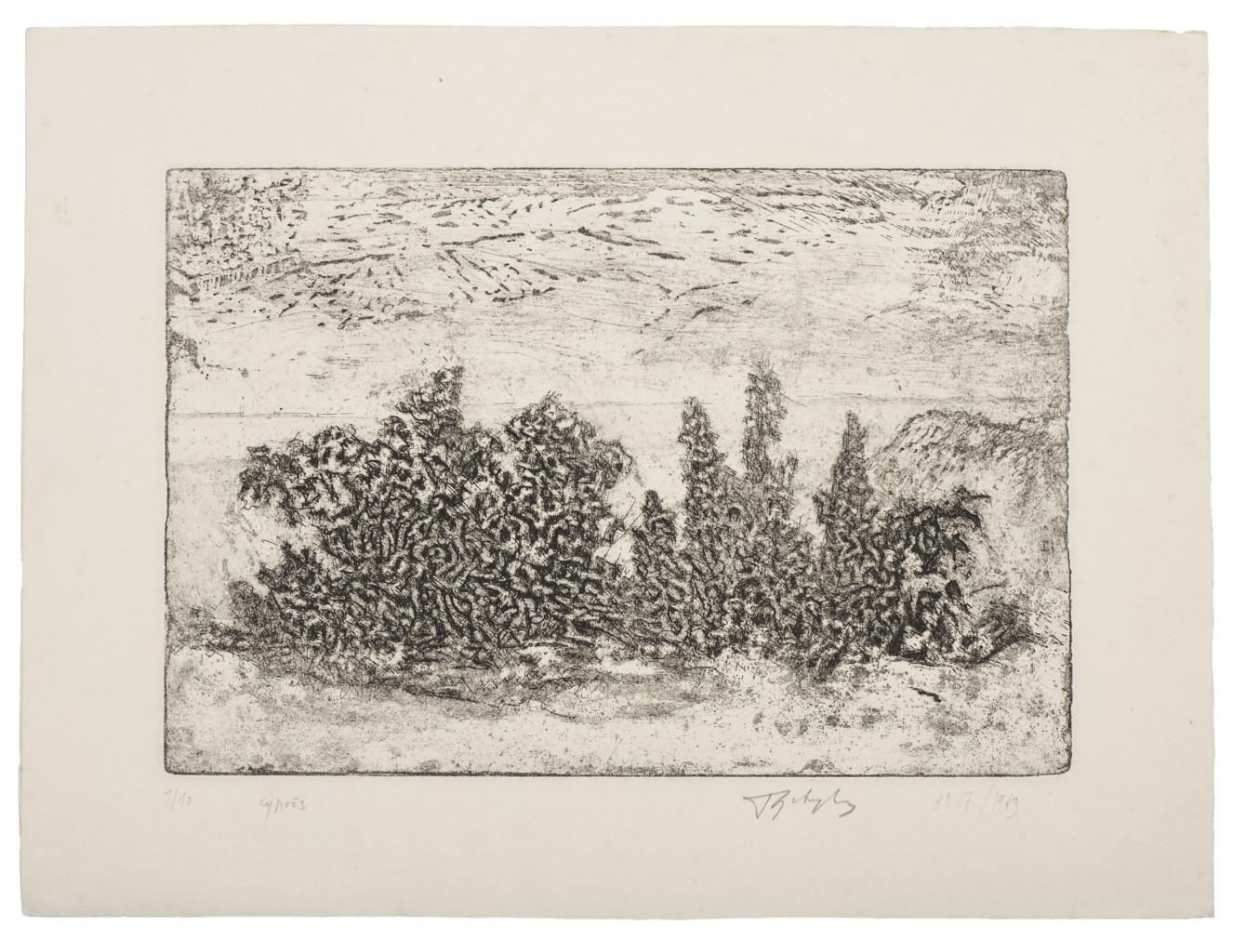 Unknown Landscape Print – Landlandschaft - Original-Radierung - 1969