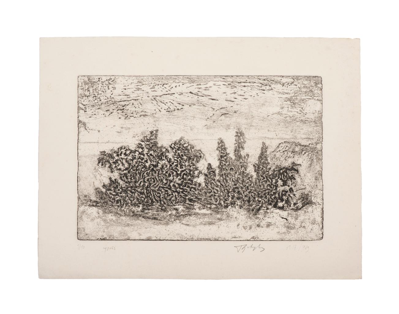 Unknown Landscape Print – Landschaft – Original-Radierung auf Papier – 1969