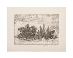 Landscape - Original Etching on Paper - 1969