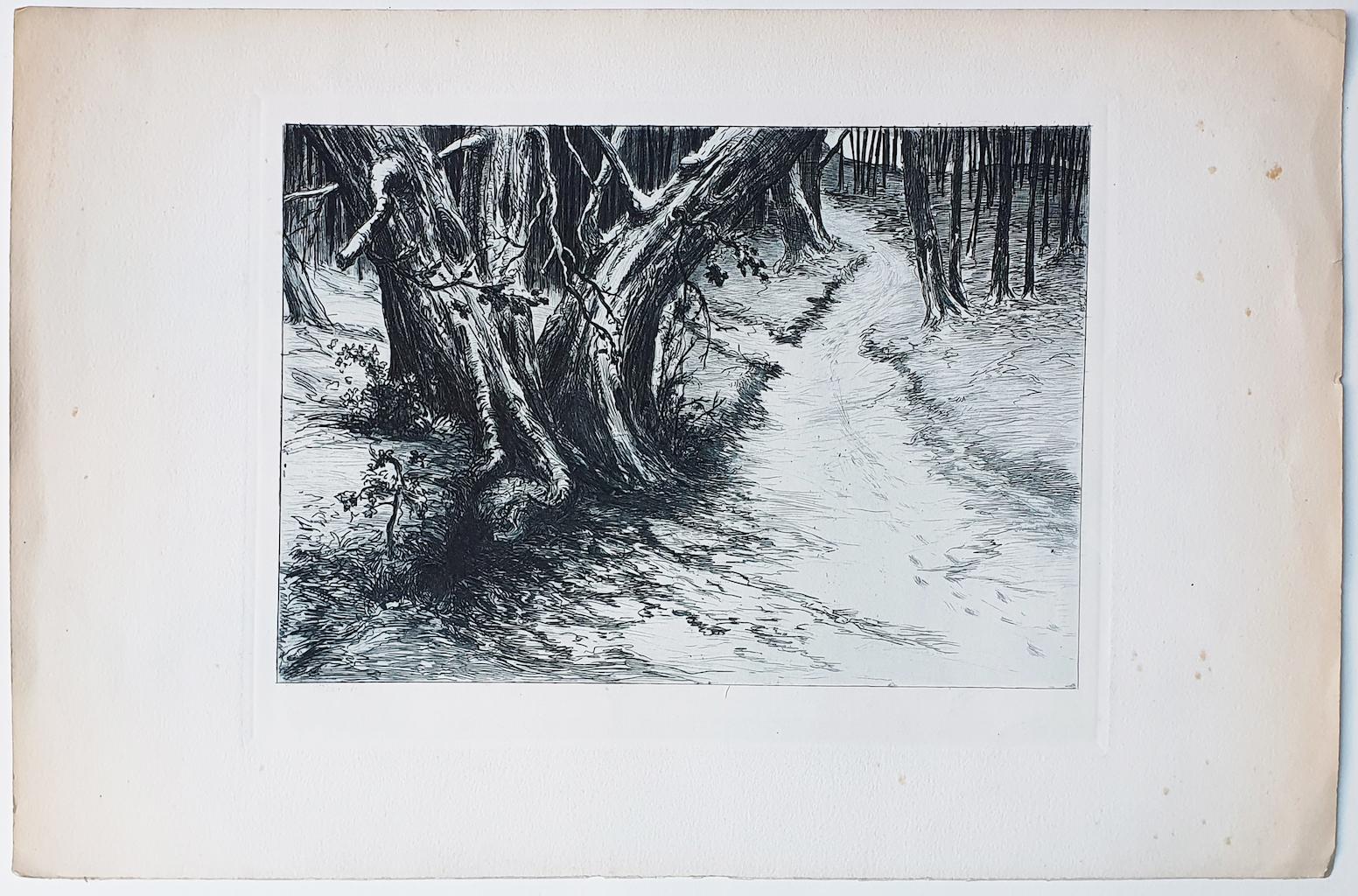 Landscape - Etching on Paper - 20th Century