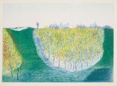 Landscape  - Original Lithograph - XX century