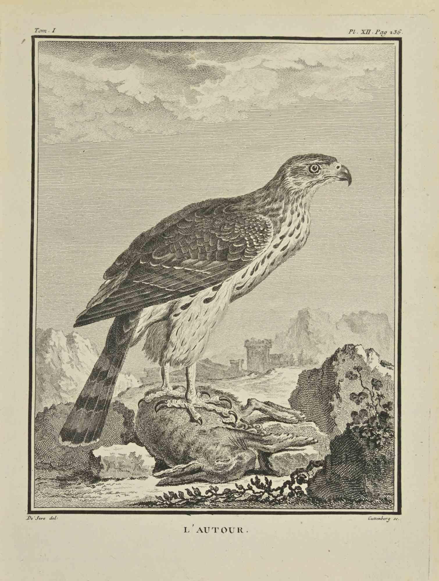 Unknown Landscape Print - L'Autour - Etching by Carl Guttenberg - 1771