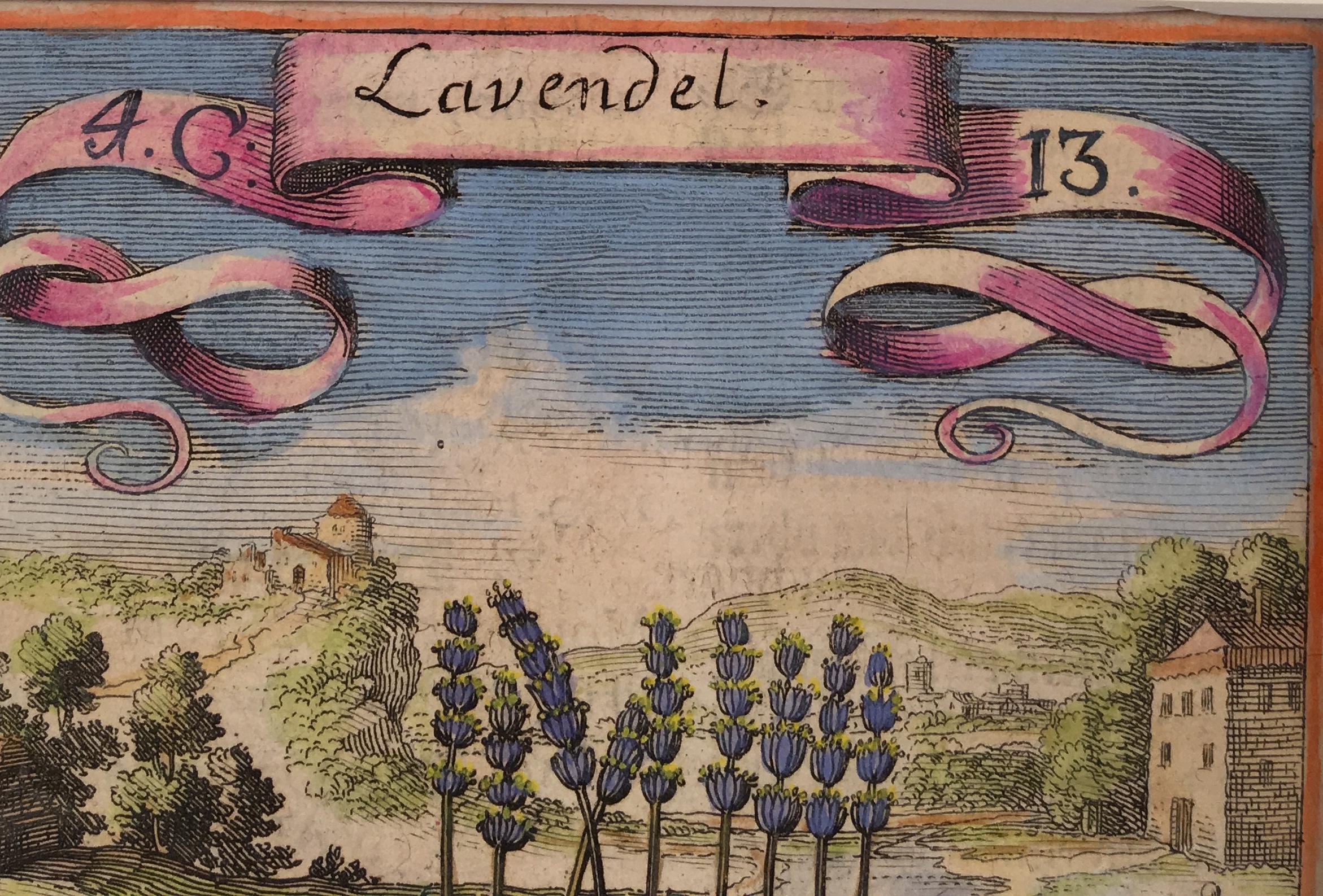 Lavender in an 18th Century Landscape - Beige Landscape Print by Unknown