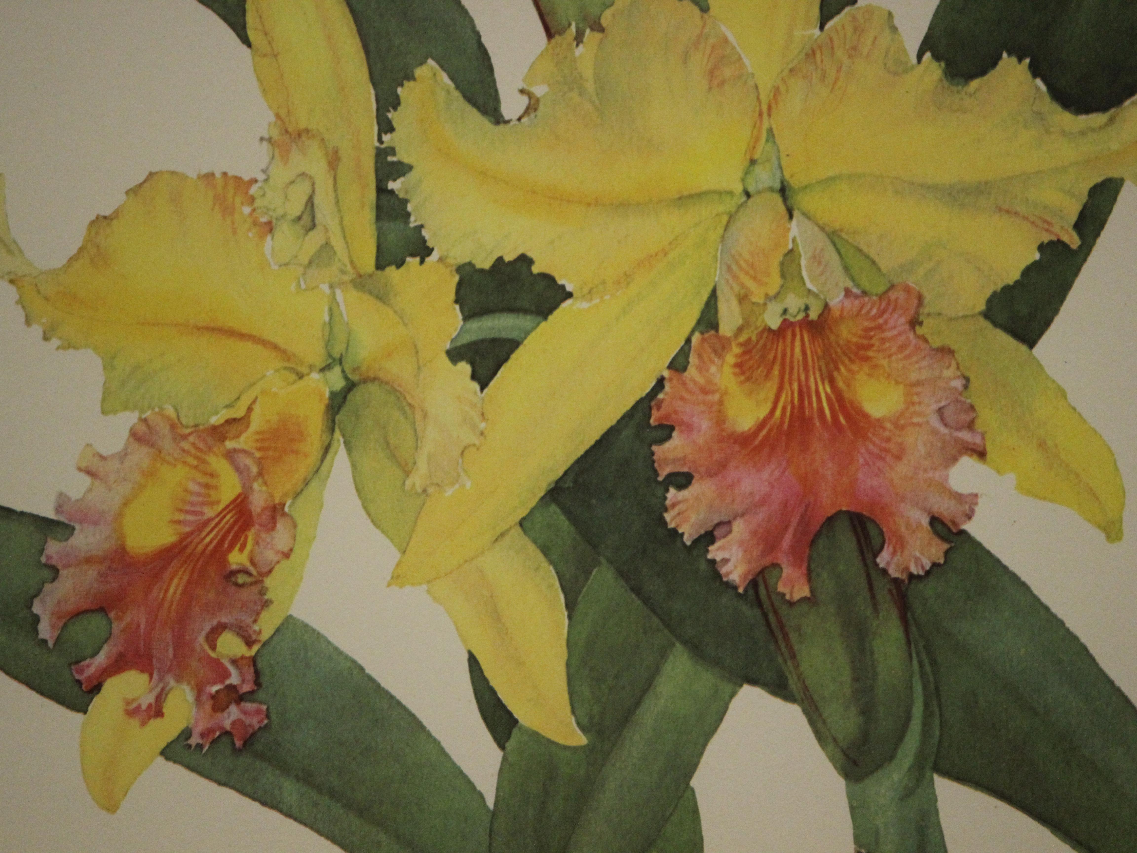 Lovely orchid color print by Andrey Avinoff

Stuart Low Co. 1928

Van Leer Imp.

1960 
by C. Harrison Conroy N.Y.C. Publisher

Print Sz: 19