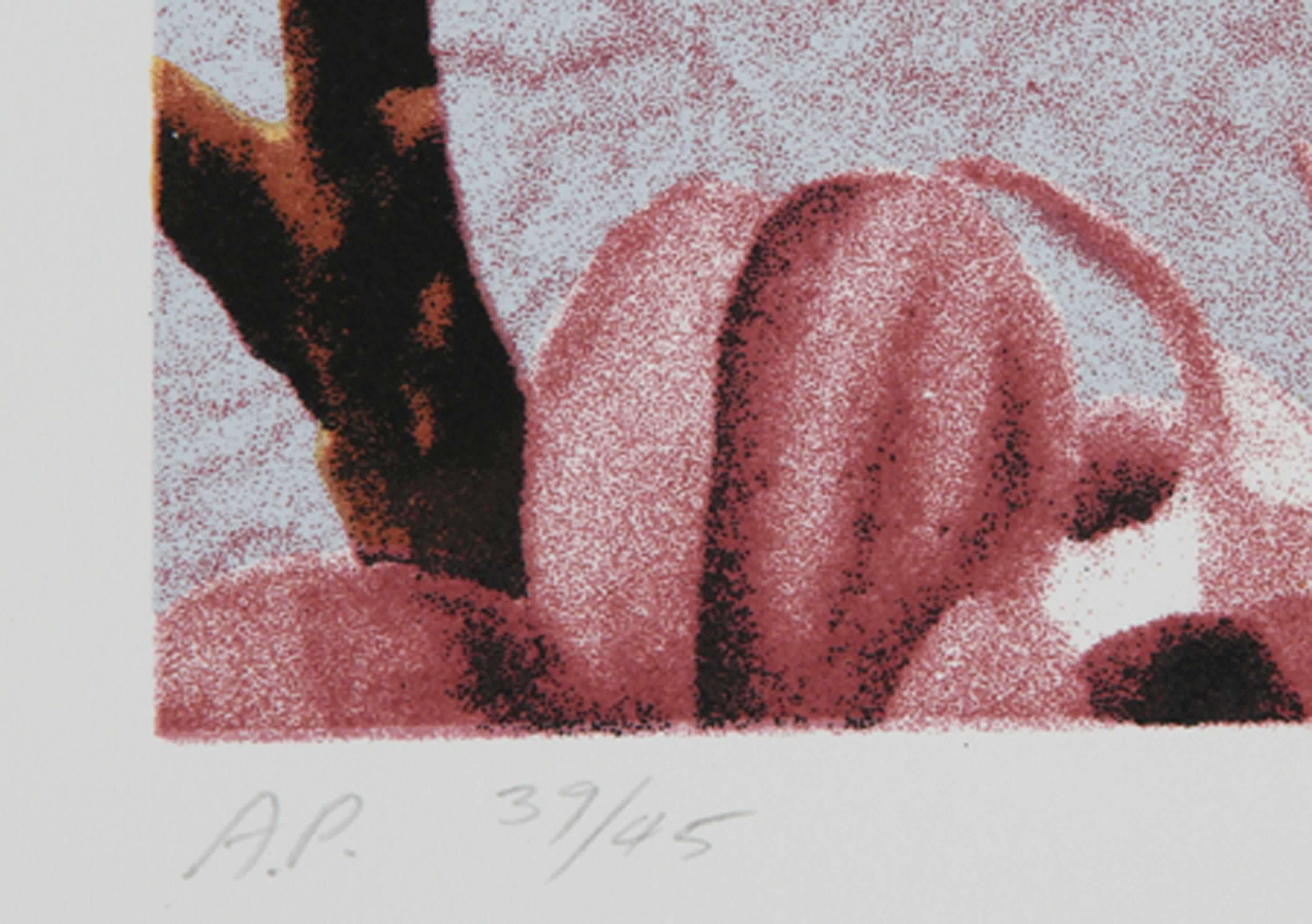 Magnolia II, American Modern Lithograph by Jon D'Orazio For Sale 1