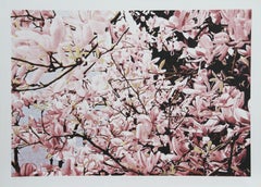 Vintage Magnolia II, American Modern Lithograph by Jon D'Orazio
