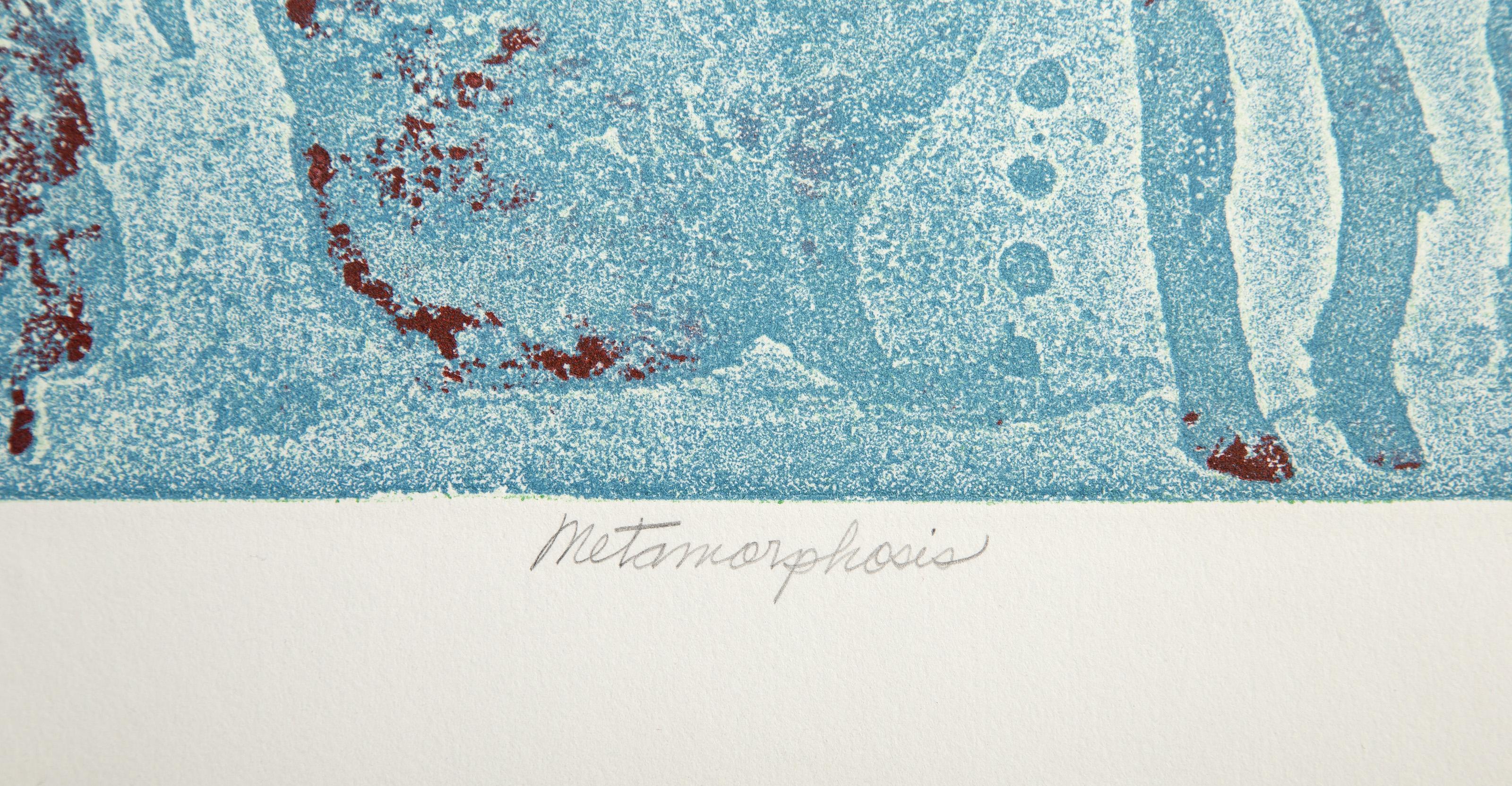 Metamorphosis, Etching with Aquatint by Joe Durante For Sale 4