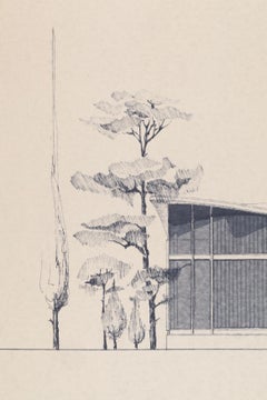 Midcentury Modern Villa Architecture