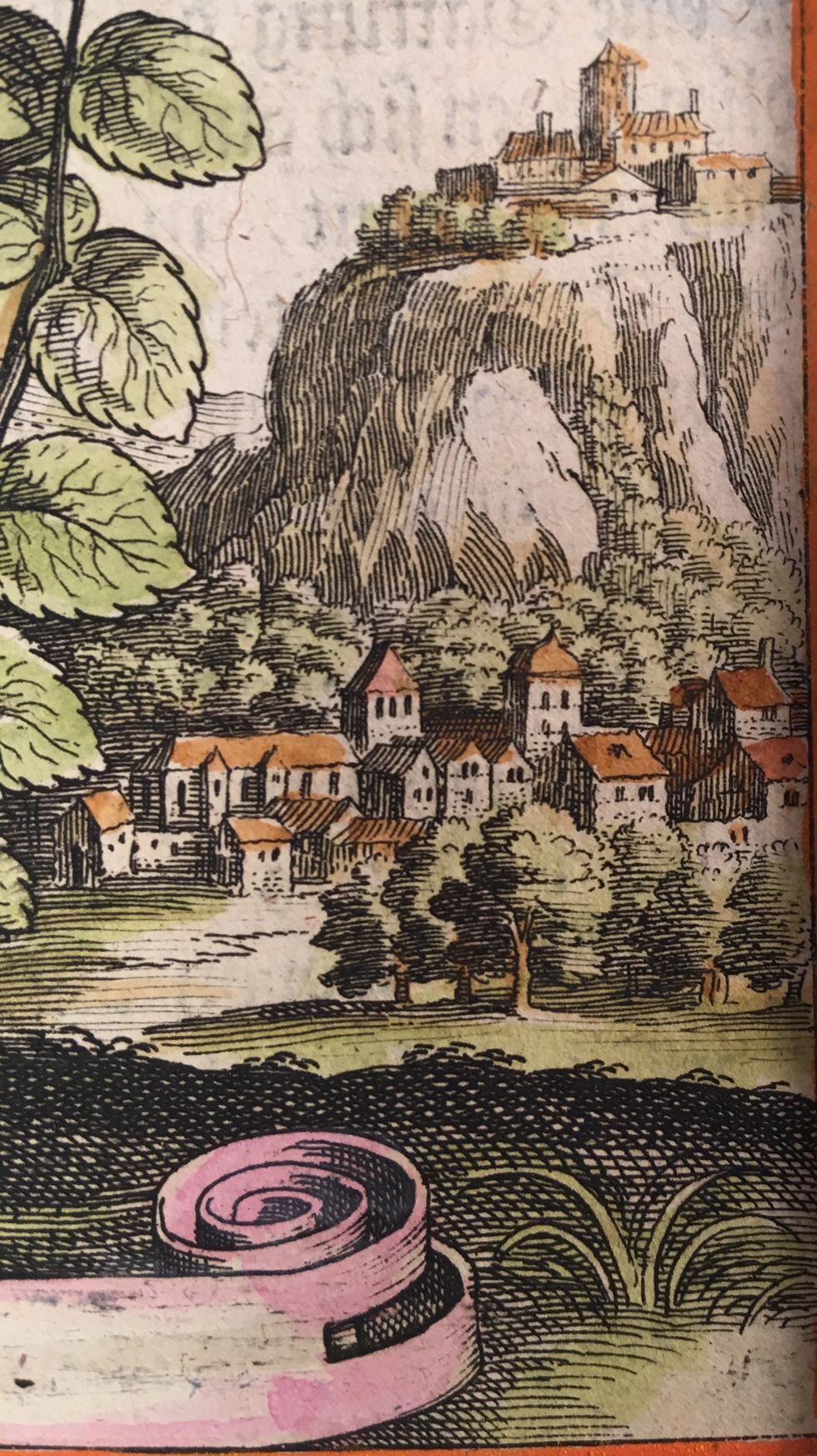 Mint in an 18th Century Landscape by Matthaeus Merian - Print by Unknown