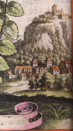 Mint in an 18th Century Landscape by Matthaeus Merian