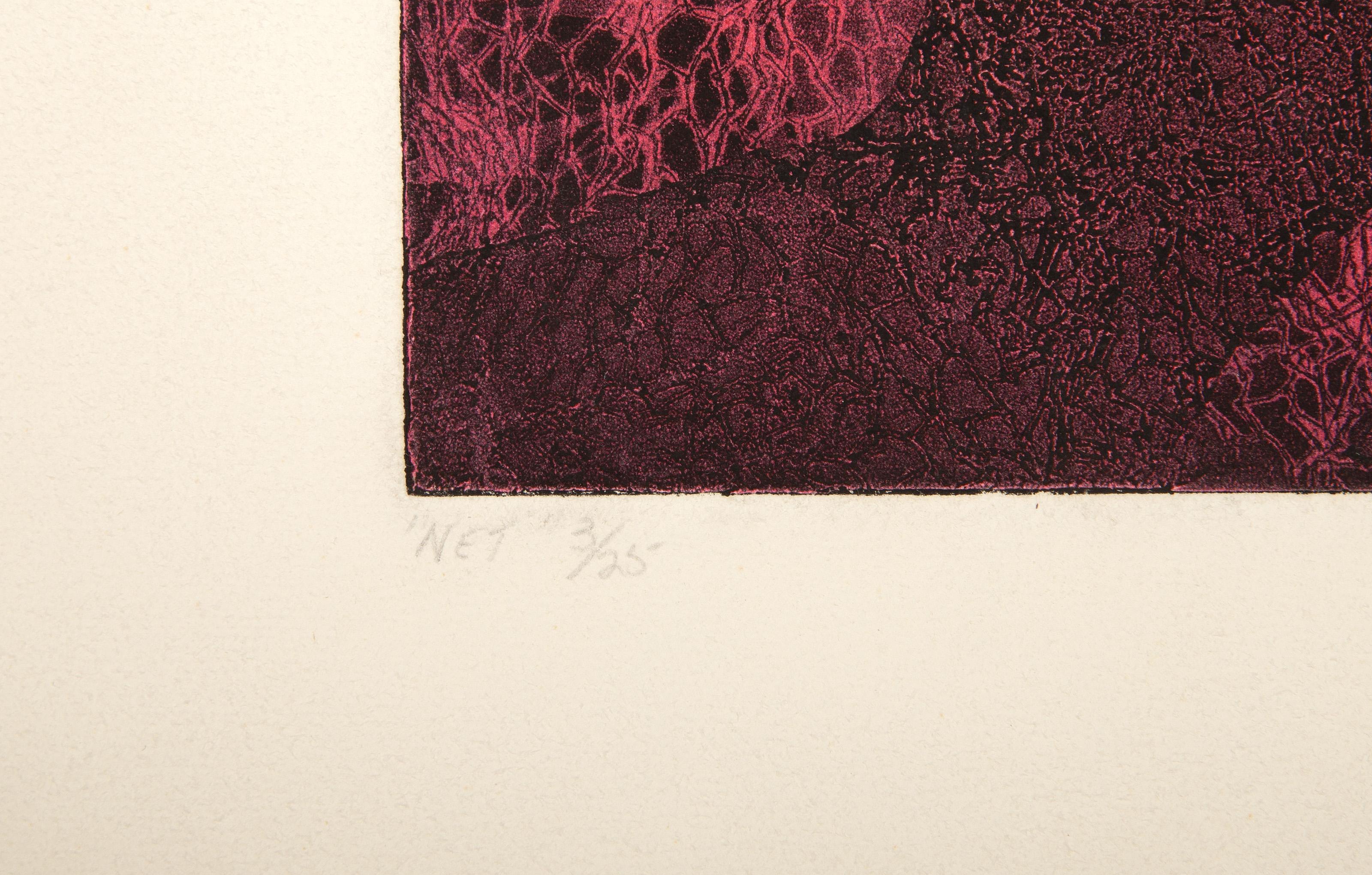 Net, Abstract Expressionist Etching and Aquatint by Mary Anne Watson For Sale 2