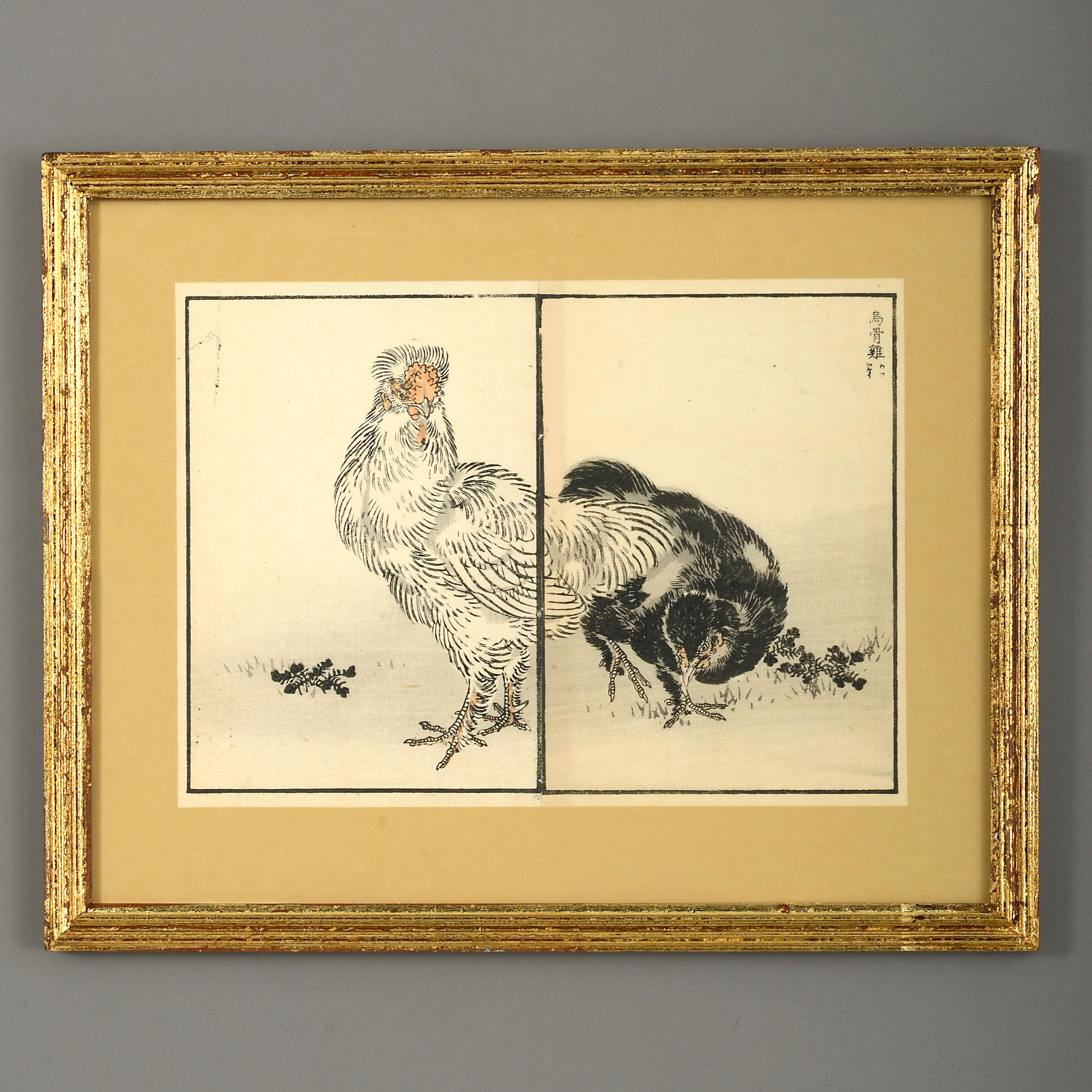 Neun Farbholzschnitte von Vögeln aus dem späten neunzehnten Jahrhundert.

Meiji-Periode.

Gehalten in Giltwood-Rahmen mit Waschpassepartouts.

