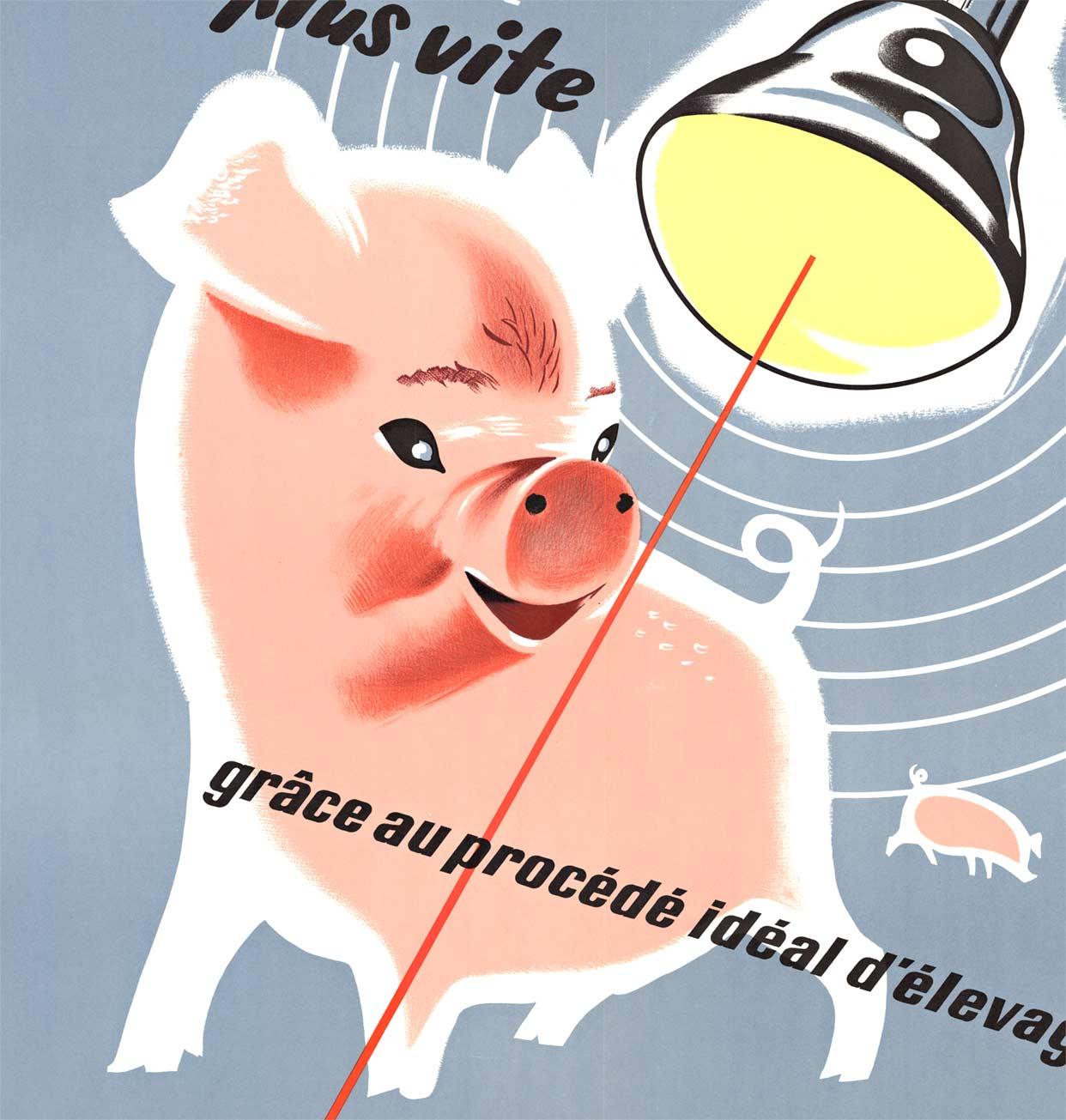 Affiche vintage d'origine Philips Infra-Rouge  dos de lin - Gris Animal Print par Unknown