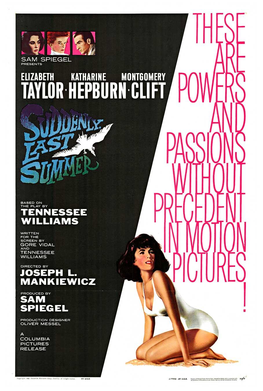 Poster originale del film d'epoca Suddenly Last Summer, Elizabeth Taylor, 1 foglio USA