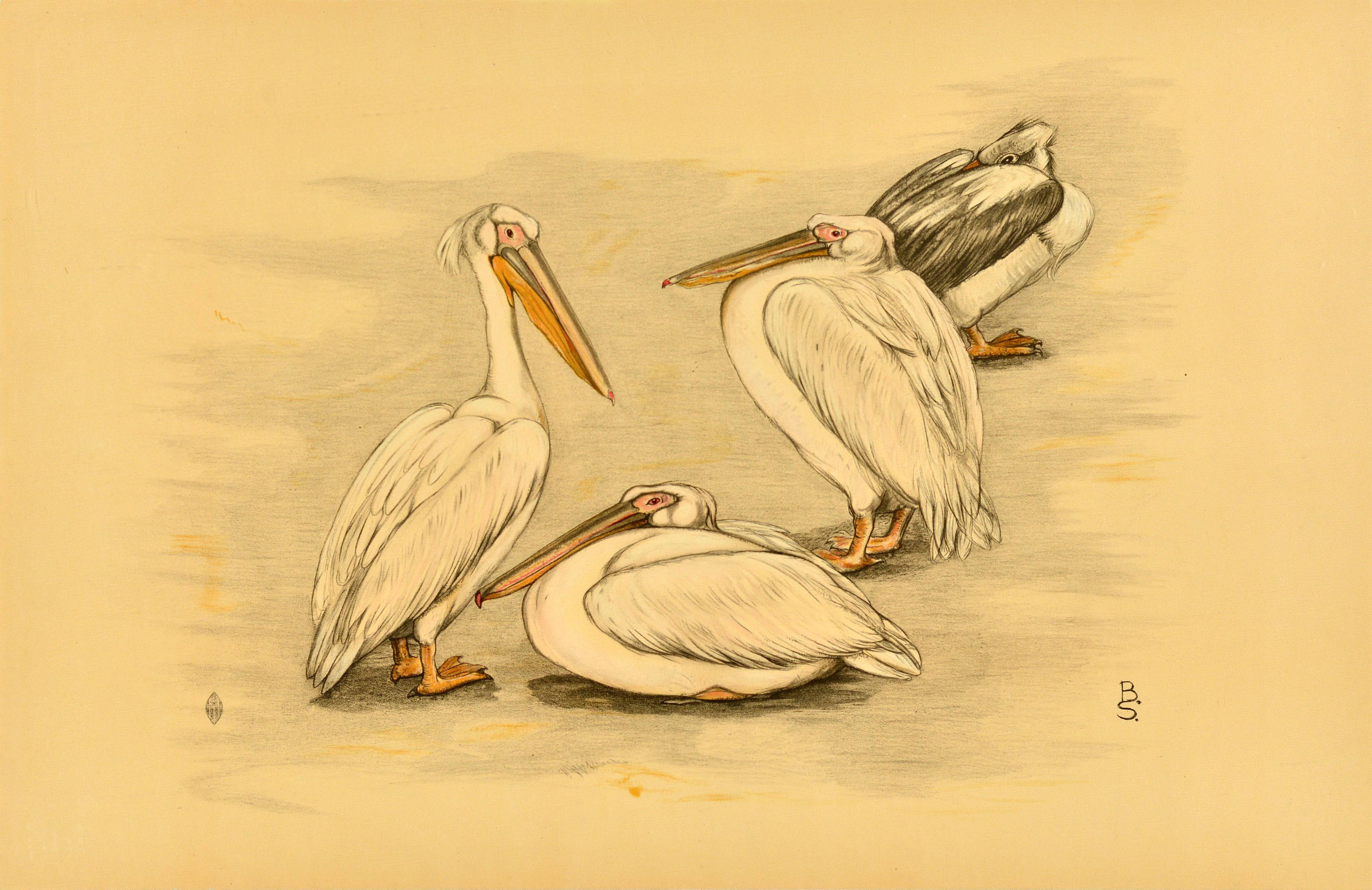 Unknown Print - Original Vintage Animal Poster Four Pelicans Birds Animals Berend Sluyterman Art