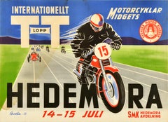 Original Vintage Motorsport Poster Hedemora International TT Race Sweden Racing