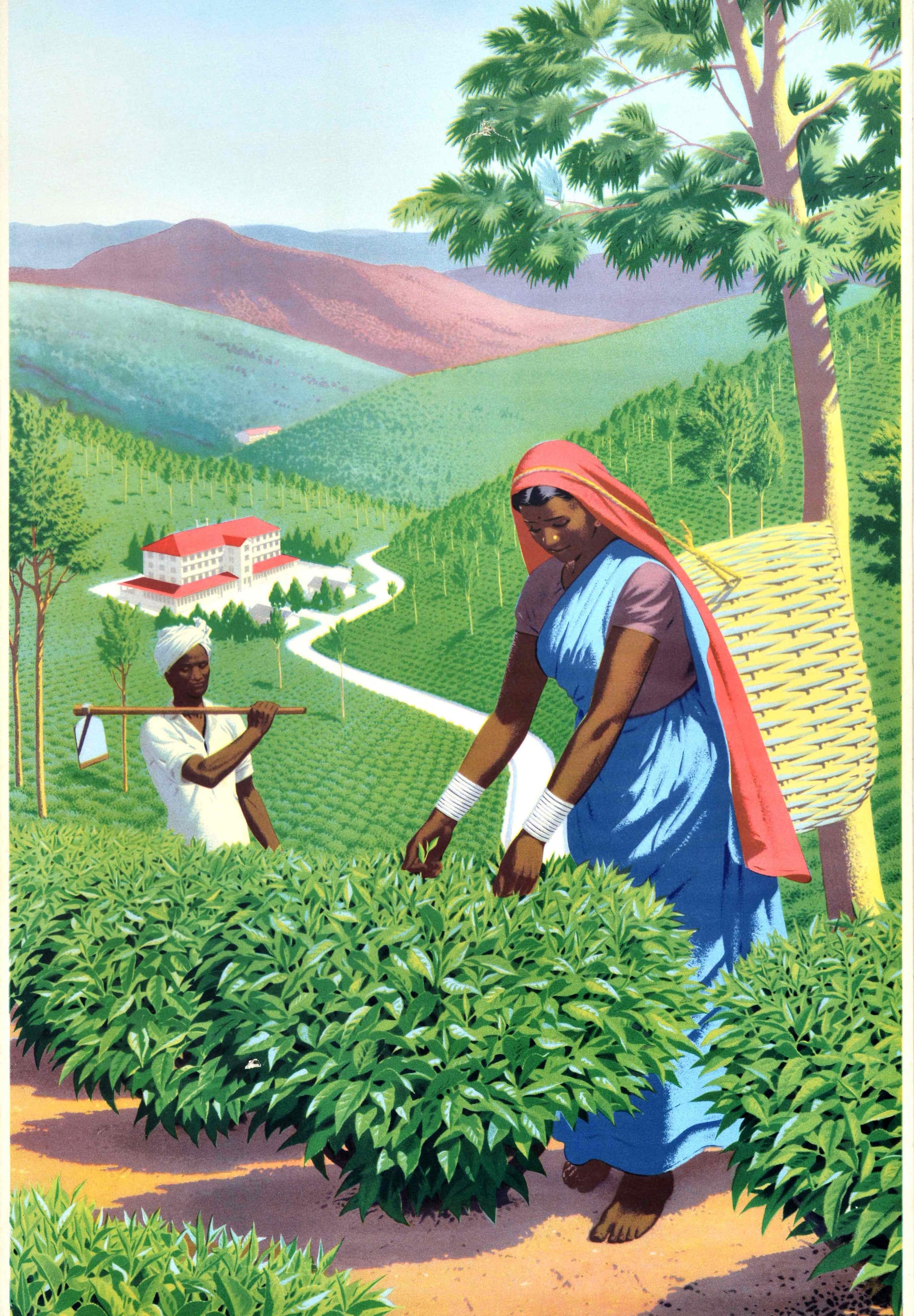 Original Vintage Poster Plucking Tea In Ceylon Sri Lanka Plantation Tea Bureau - Green Print by Unknown
