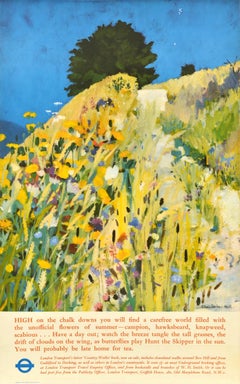 Original Vintage Travel Poster Downland Walks London Transport Country Walks UK