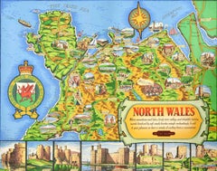 Original Vintage Travel Poster North Wales Map British Railways DW Burley