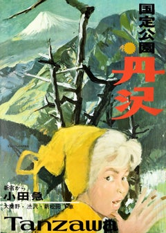 Original Vintage Travel Poster Tanzawa Mountains Kanto National Park Japan Art