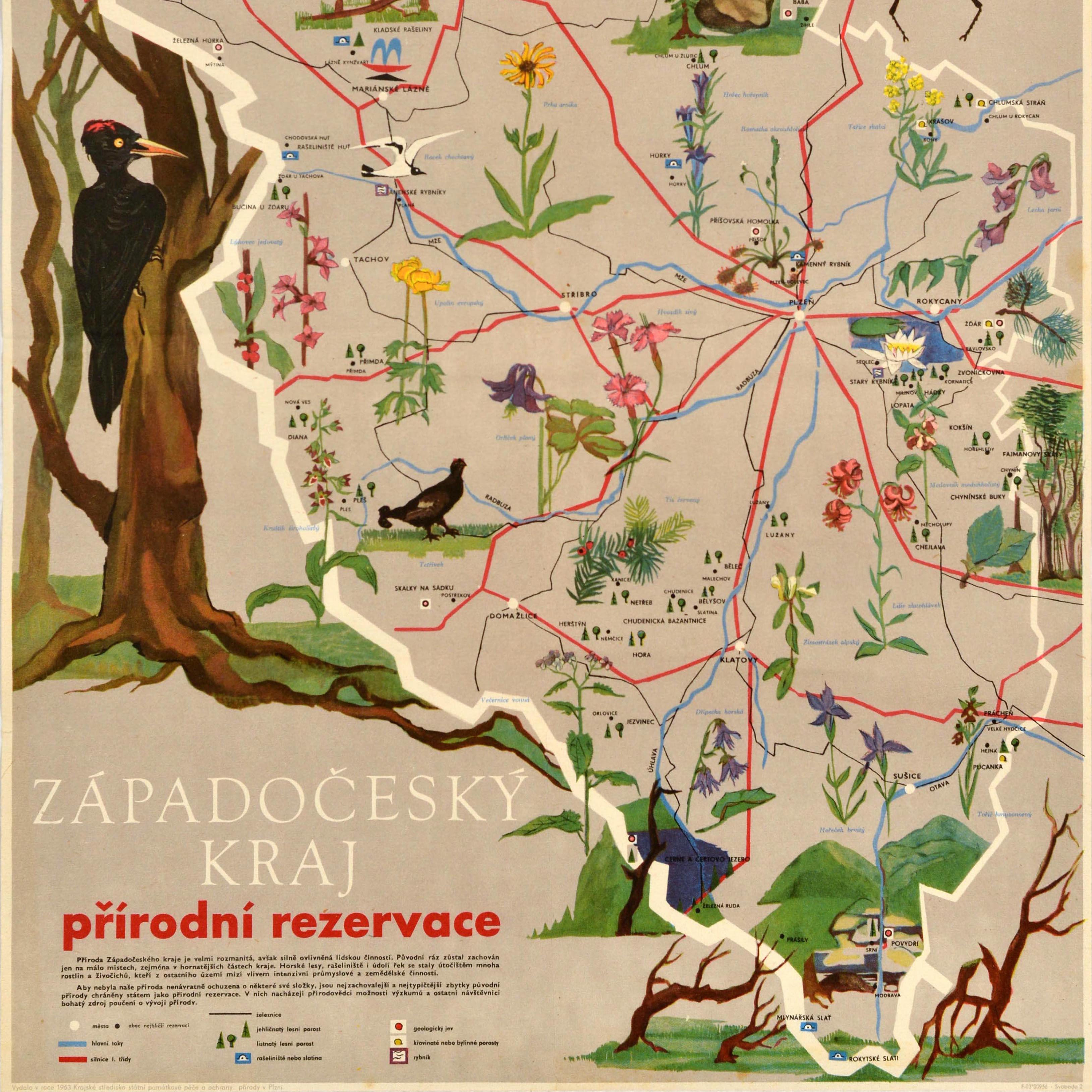 Original vintage travel poster for the West Bohemian Region Nature Reserve / Zapadocesky Kraj Prirodni Rezervace featuring a pictorial map of the area showing various flora and fauna species including different birds and insects, colourful flowers