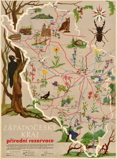 Original Vintage Travel Poster West Bohemian Region Nature Reserve Czech Park