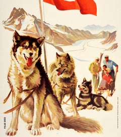 Original Vintage Winter Sport Travel Poster Jungfraujoch Jungfrau Railway Husky