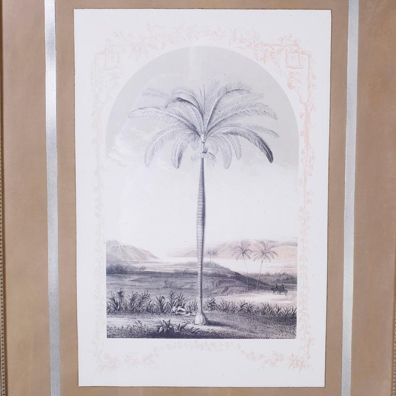 palm tree pictures framed