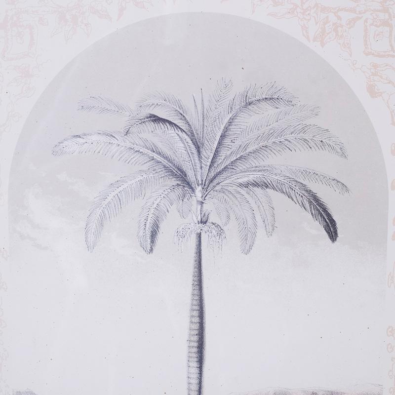 Pair of Framed and Matted Palm Tree Lithographs - Naturalistic Print by Unknown