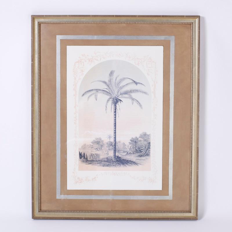 Pair of scholastic style dome shaped lithographs depicting Palm Tree species in their natural Habitat, matted and presented in carved wood gold leaf frames.