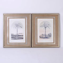 Pair of Framed and Matted Palm Tree Lithographs