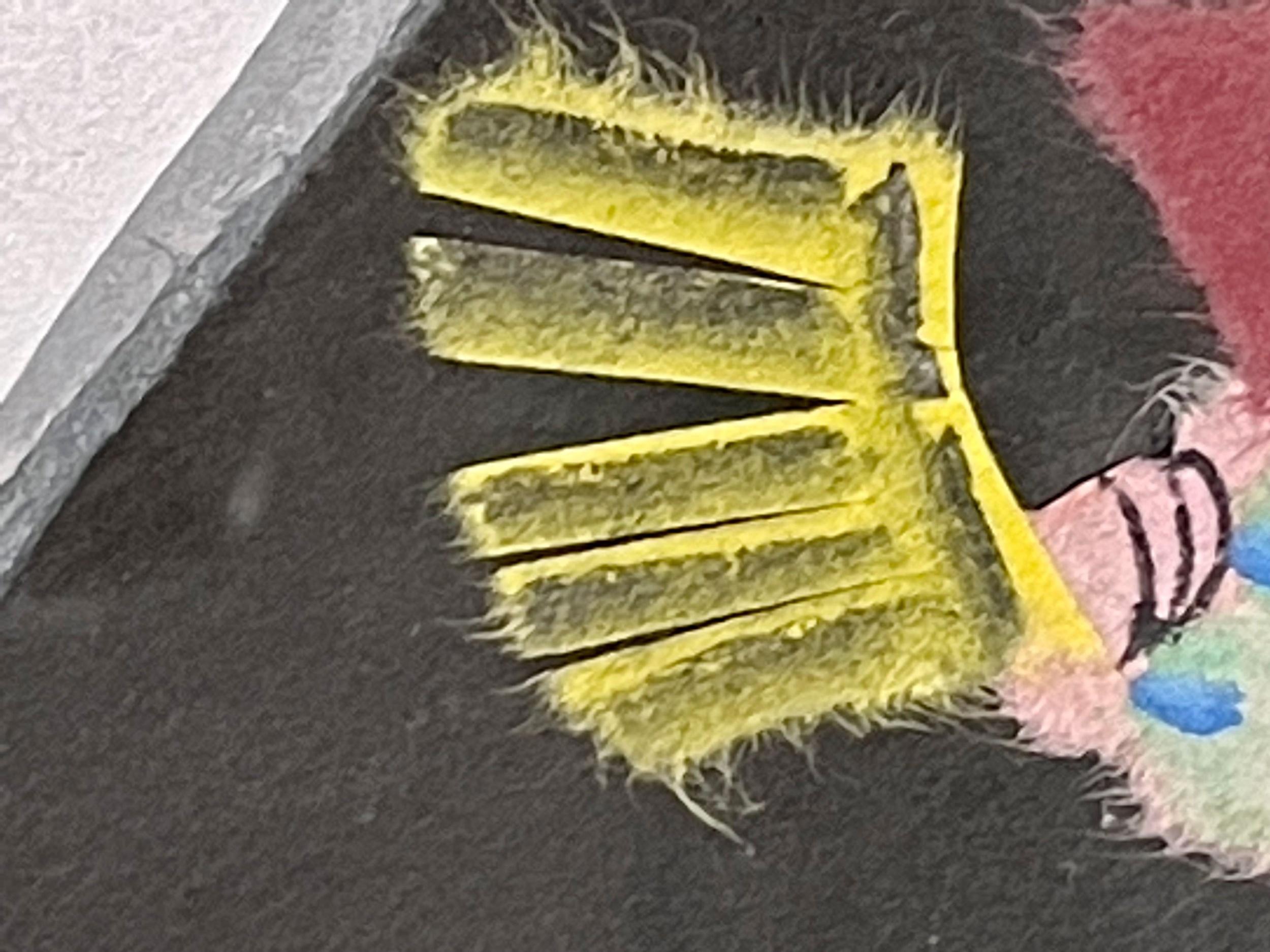 Pair of Japanese Woodblocks Custom Frames Signed For Sale 8