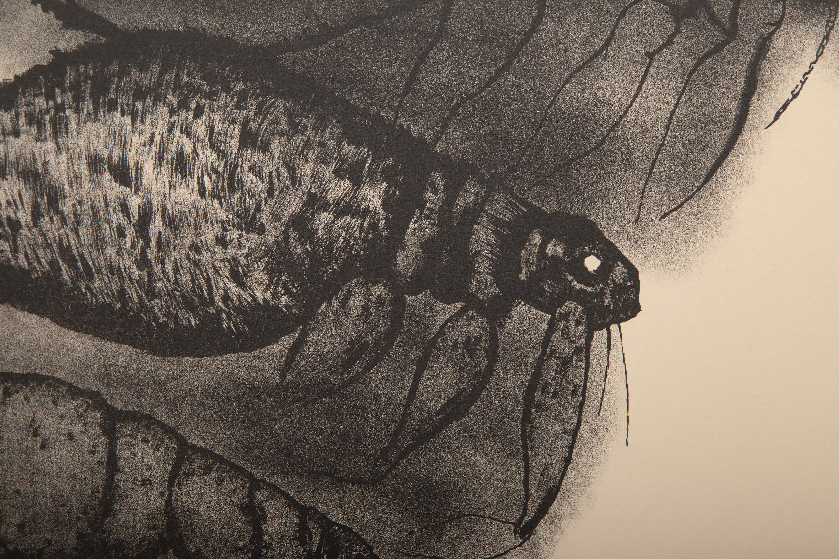 Parasite, litografia surrealista di Aubrey Schwartz in vendita 1