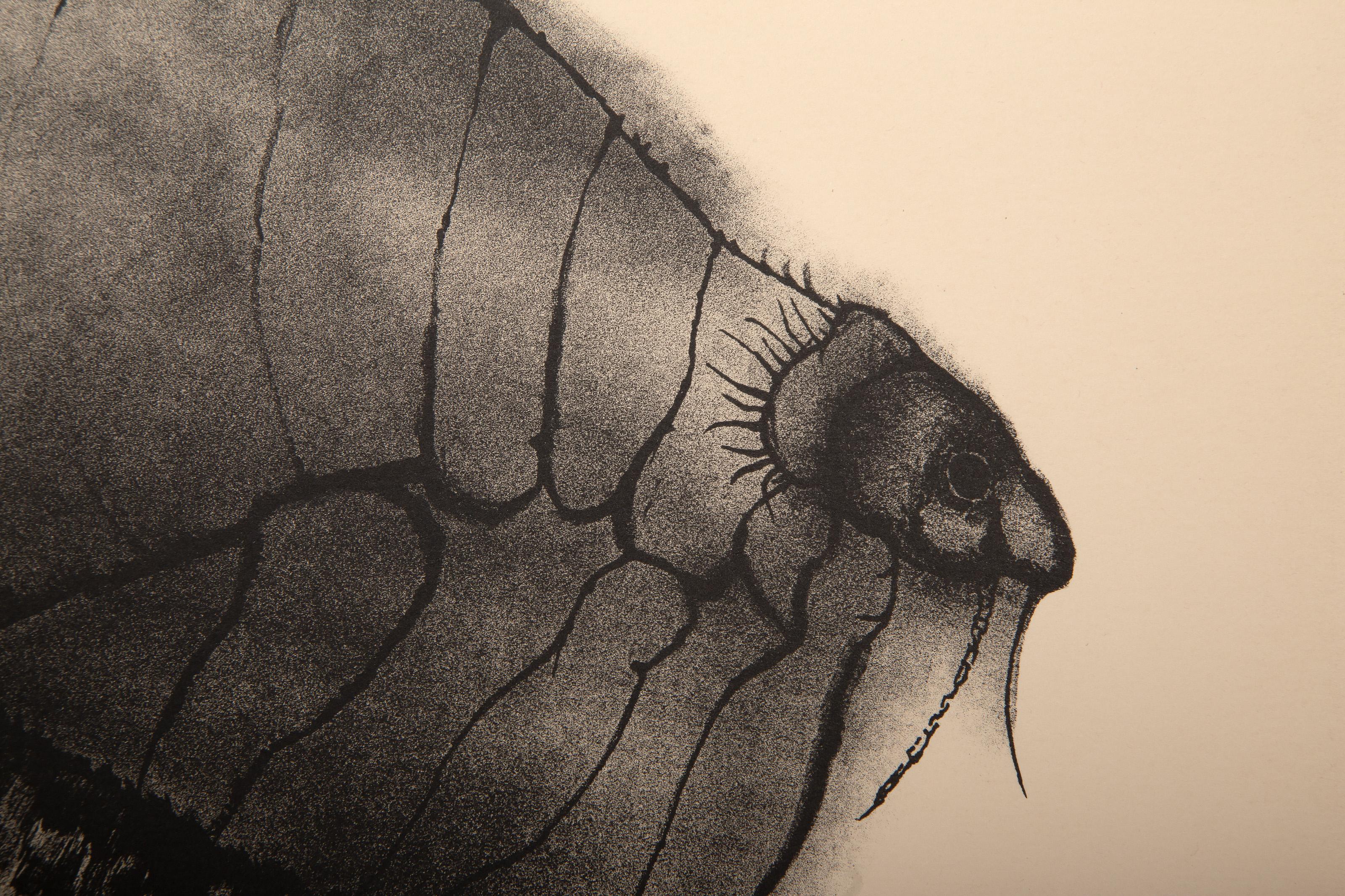 Parasite, litografia surrealista di Aubrey Schwartz in vendita 2