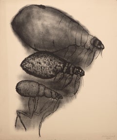 Vintage Parasite, Surrealist Lithograph by Aubrey Schwartz
