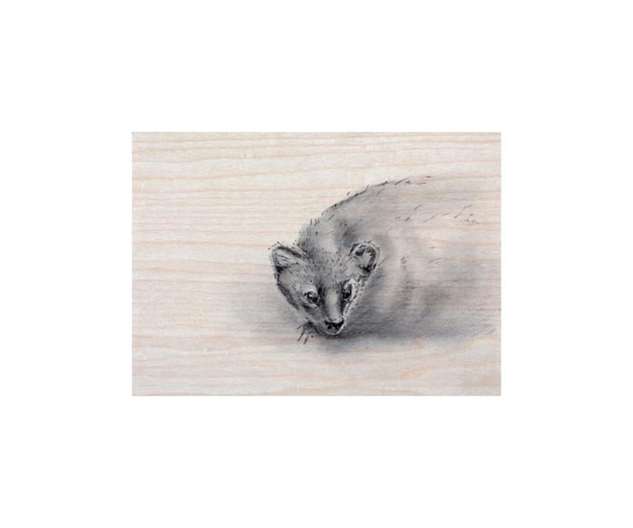 Animal Print de Unknown - Pekania Pennanti, El Pescador, Grabado de Joseph Rossano, 2018