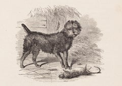 Antique "Peto, " a Scotch Terrier