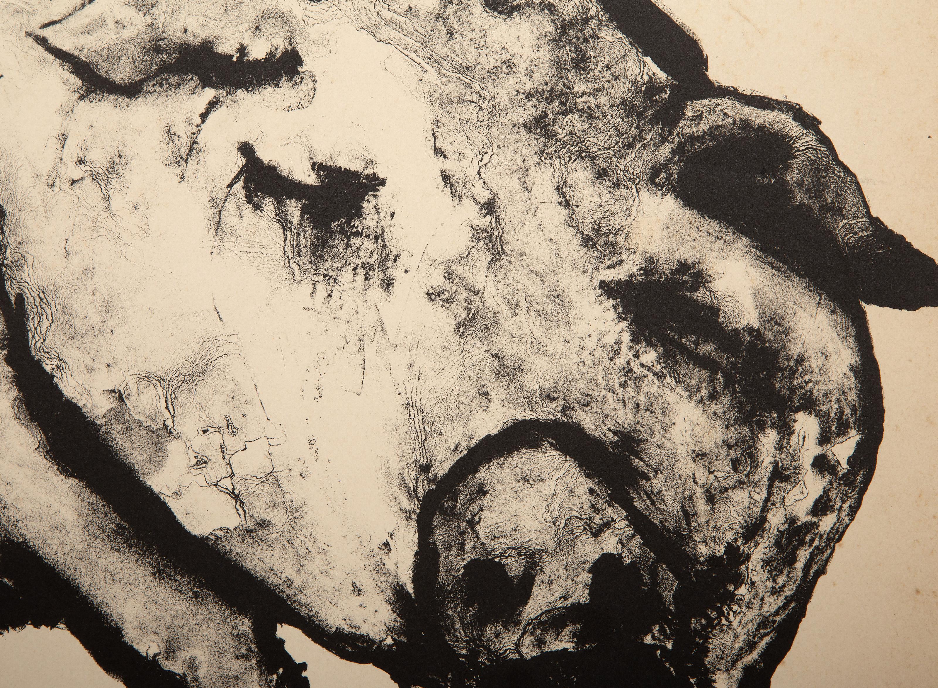 Cerdo, litografía surrealista de Aubrey Schwartz en venta 2