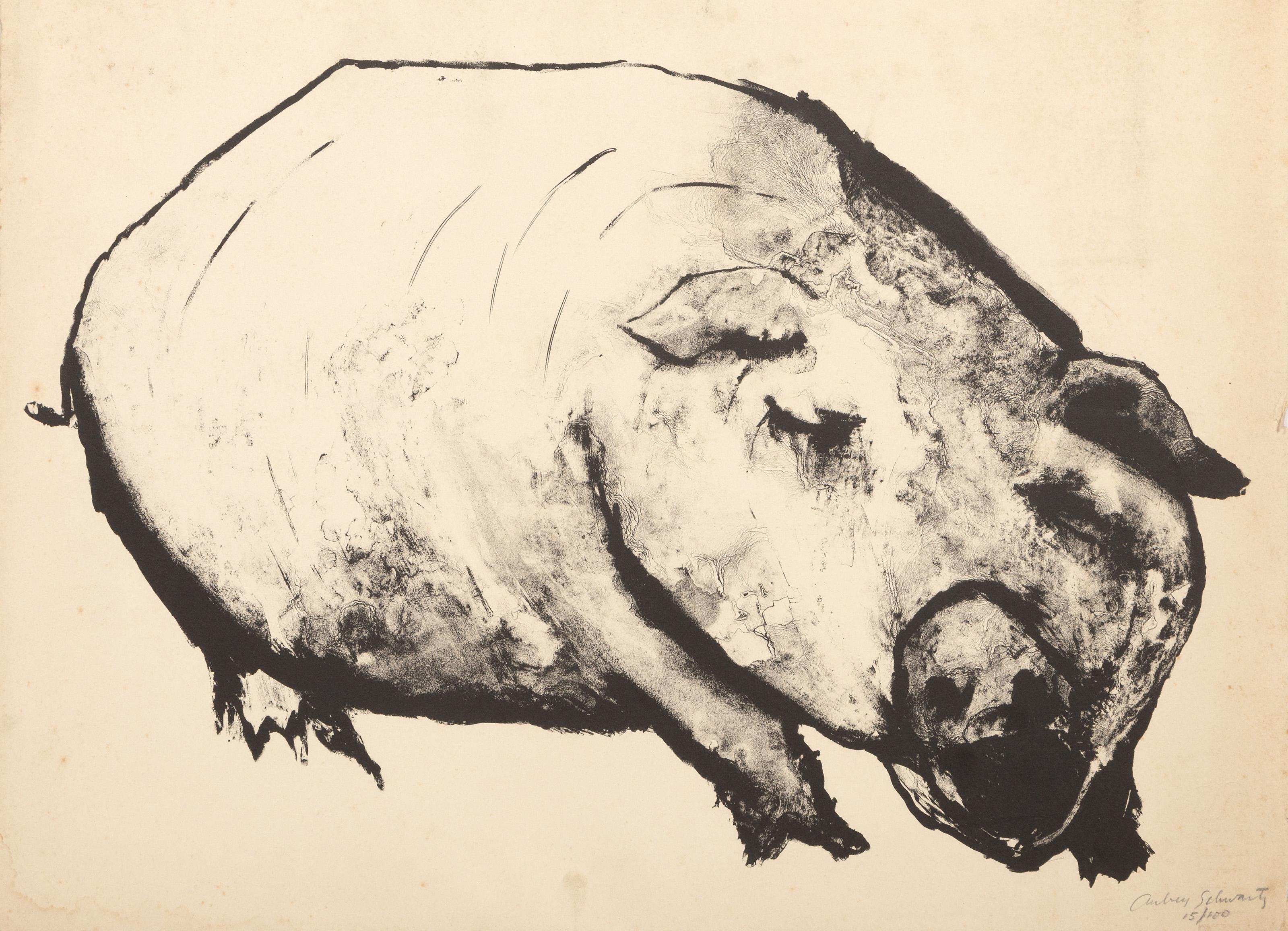 Aubrey Schwartz, estadounidense (1928 - 2019) -  Cerdo, Año: hacia 1965, Medio: Litografía sobre Arches, firmada y numerada a lápiz, Edición: 15/100, Tamaño de la imagen: 12 x 17 pulgadas, Tamaño: 14,75 x 18 pulgadas (37,47 x 45,72 cm) 